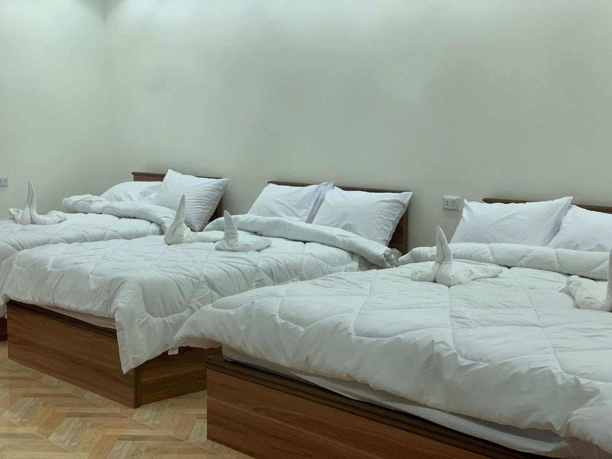 Hotel Royal Pyramids View 4*